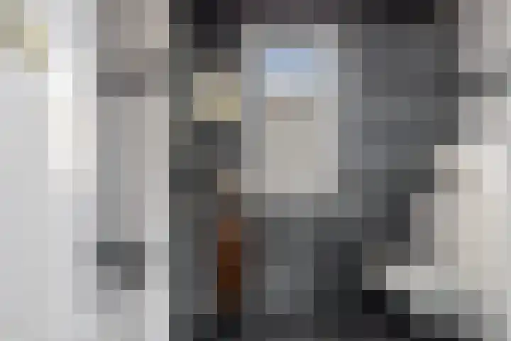 Dasseburcht 14 Etten-Leur thumbnail 13