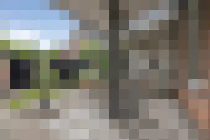 Dasseburcht 14 Etten-Leur thumbnail 21
