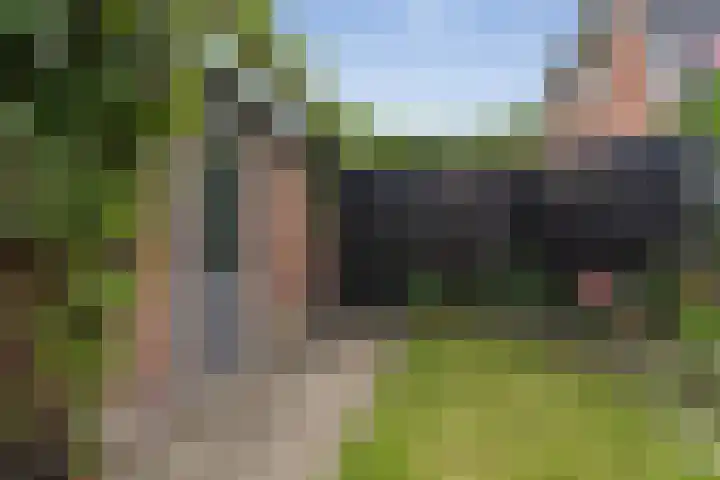 Dasseburcht 14 Etten-Leur thumbnail 24