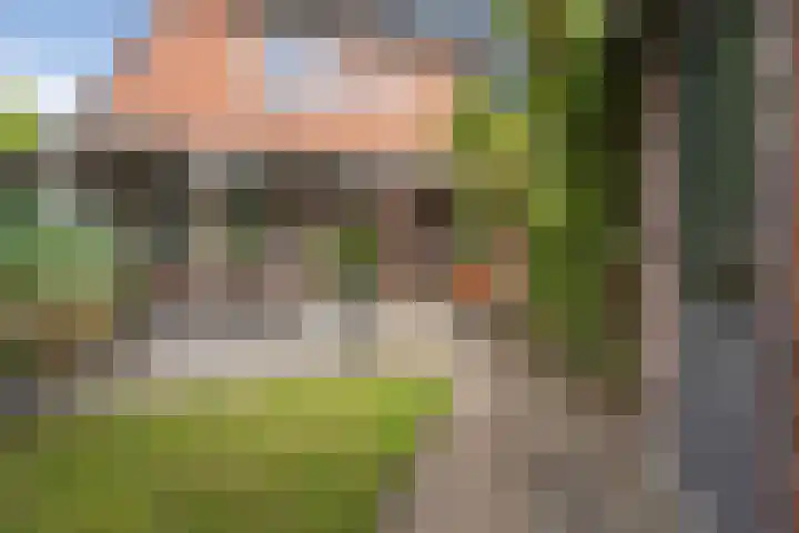 Dasseburcht 14 Etten-Leur thumbnail 25