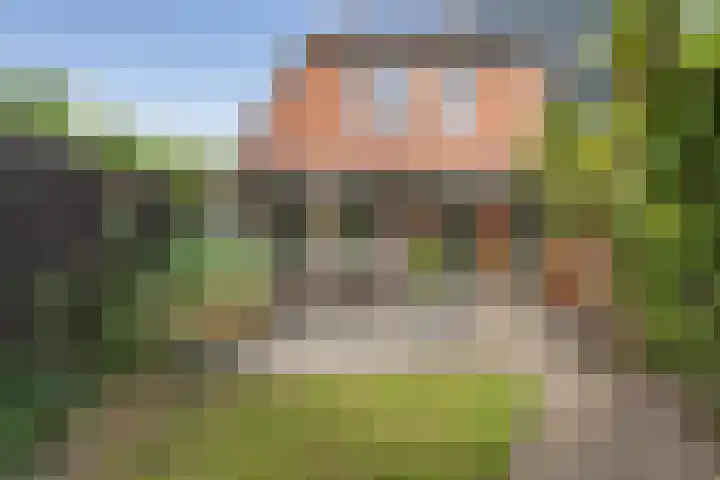 Dasseburcht 14 Etten-Leur thumbnail 26