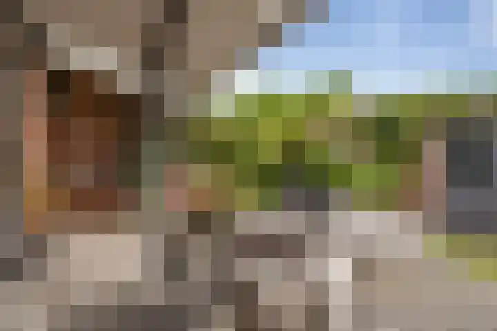 Dasseburcht 14 Etten-Leur thumbnail 28