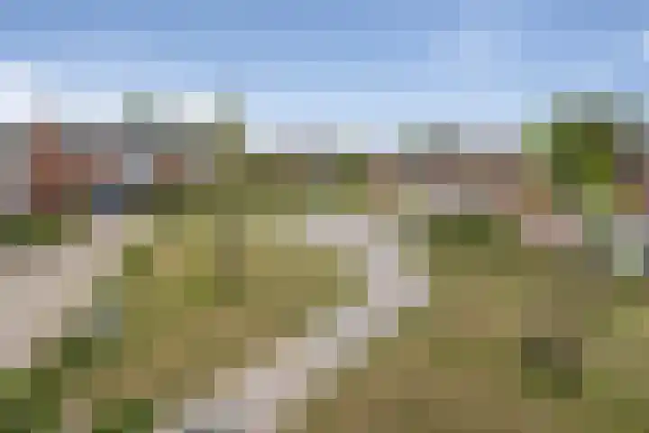 Dasseburcht 14 Etten-Leur thumbnail 31