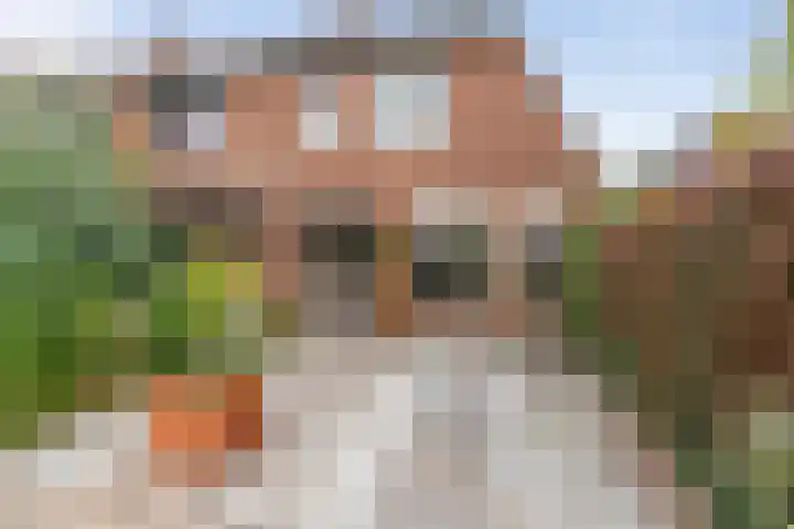 Dasseburcht 14 Etten-Leur thumbnail 41