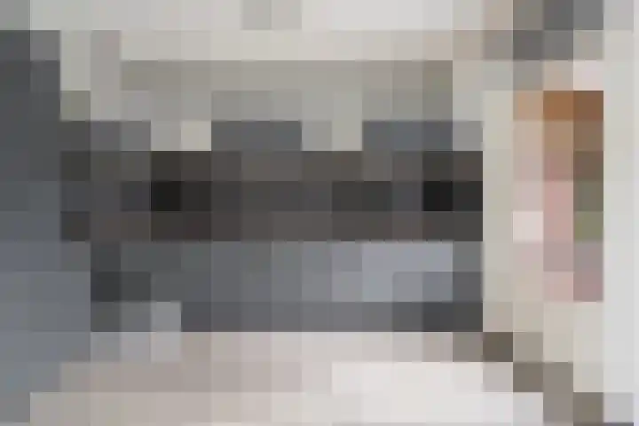 Dasseburcht 14 Etten-Leur thumbnail 6