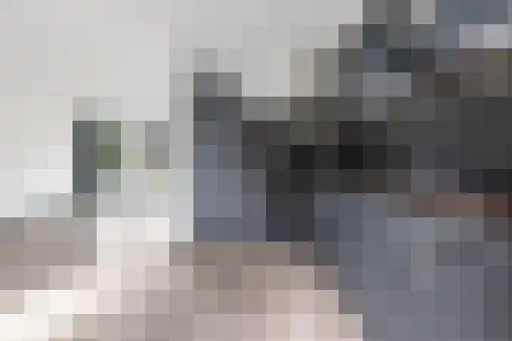 Dasseburcht 14 Etten-Leur thumbnail 7