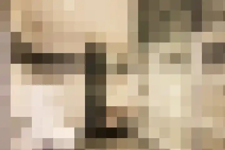 Dasseburcht 22 Oss thumbnail 17