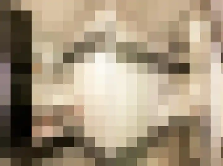 Dasseburcht 22 Oss thumbnail 18