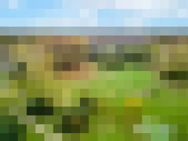 Dasseburcht 22 Oss thumbnail 26