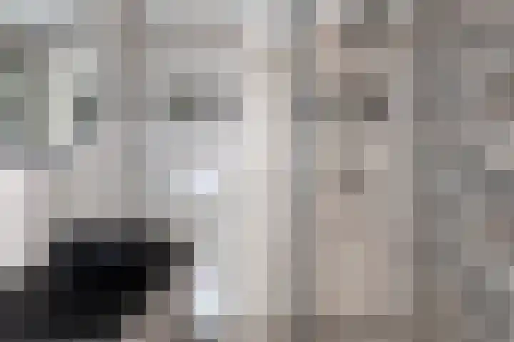 Dasseburcht 28 Oss thumbnail 25