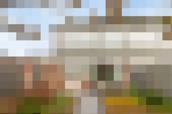 Dasseburcht 30 Oss thumbnail 21