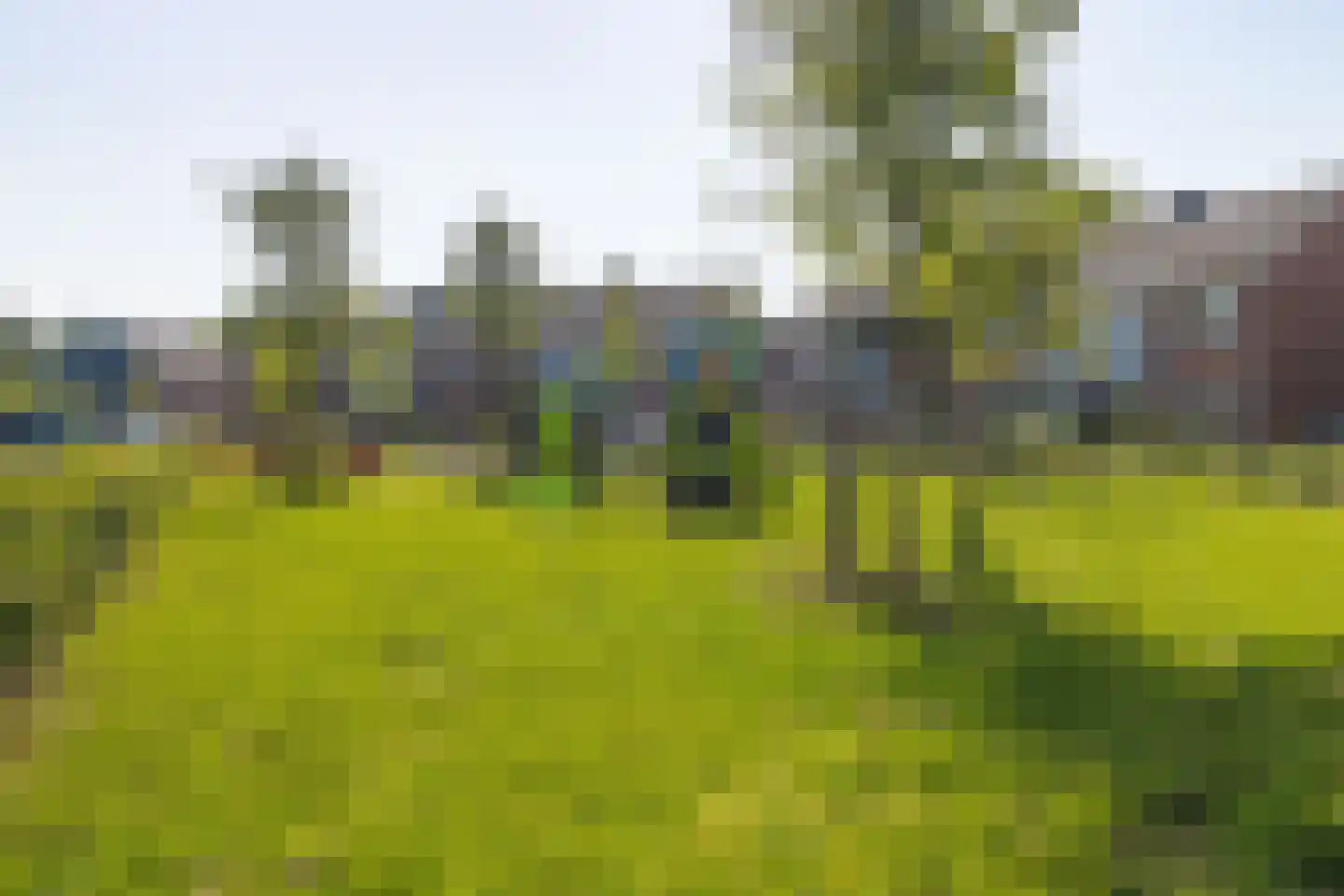 Dasseburcht 31 Etten-Leur thumbnail 45
