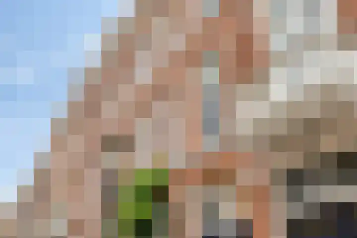 Dasseburcht 5 dans Zeewolde