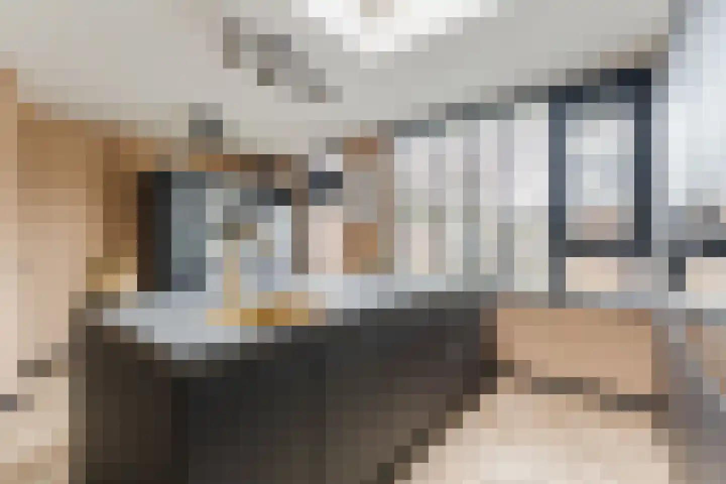 Dasseburcht 5 Zeewolde thumbnail 10