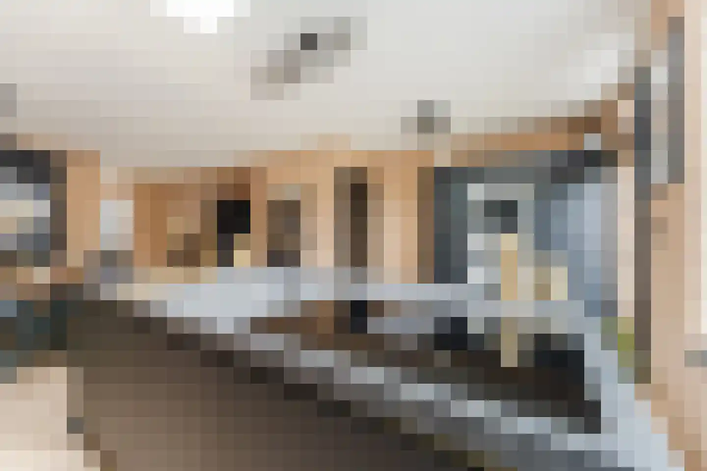 Dasseburcht 5 Zeewolde thumbnail 11