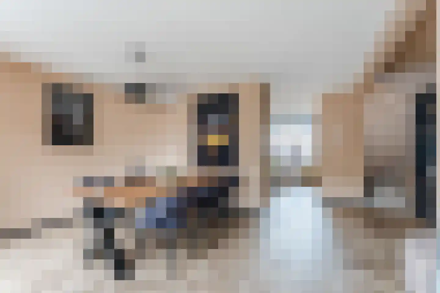 Dasseburcht 5 Zeewolde thumbnail 13