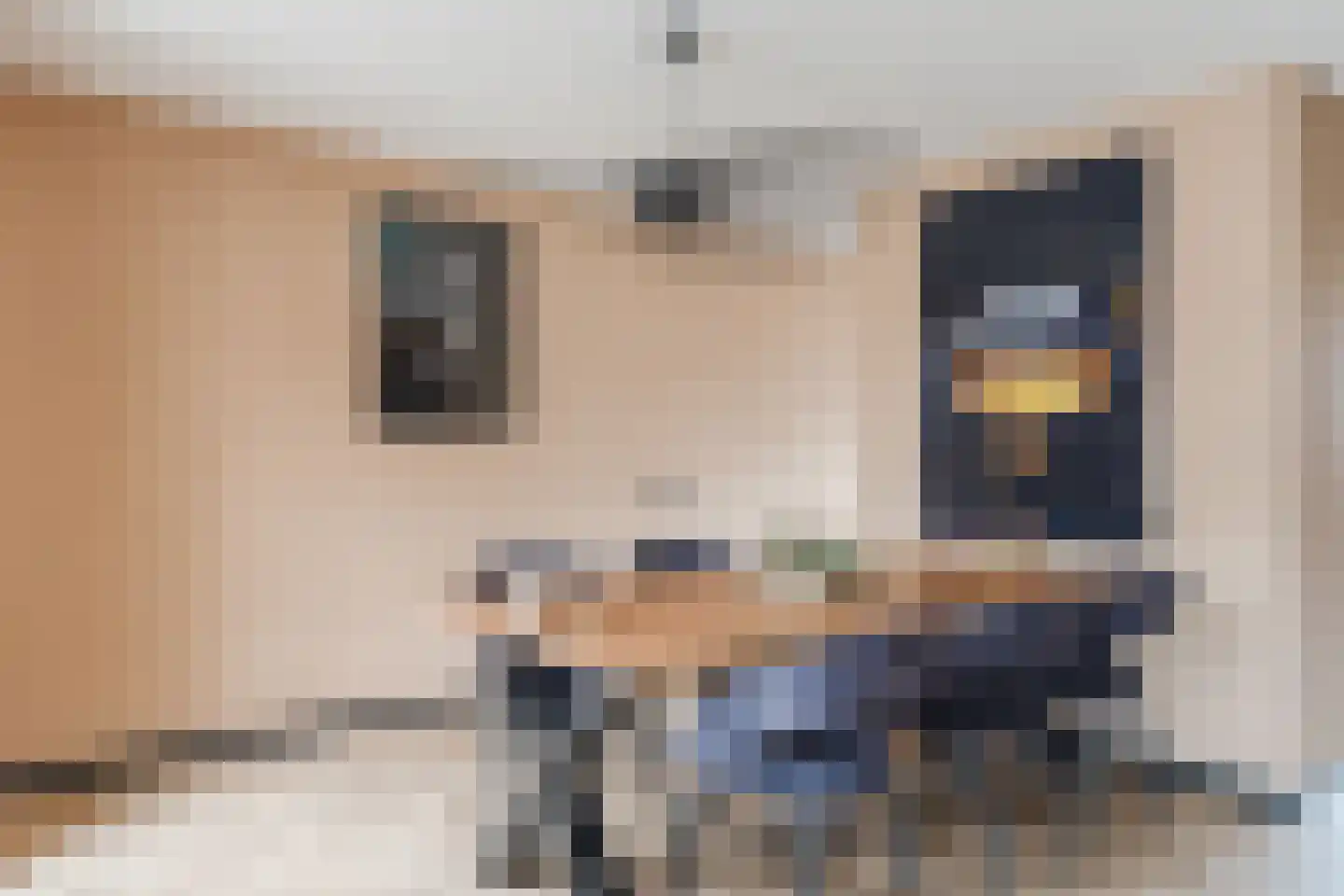 Dasseburcht 5 Zeewolde thumbnail 14
