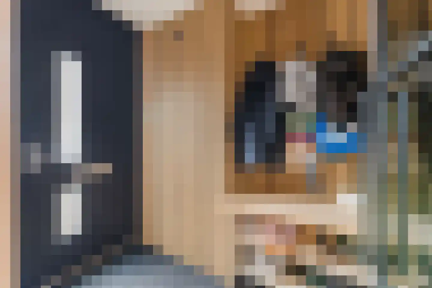 Dasseburcht 5 Zeewolde thumbnail 17