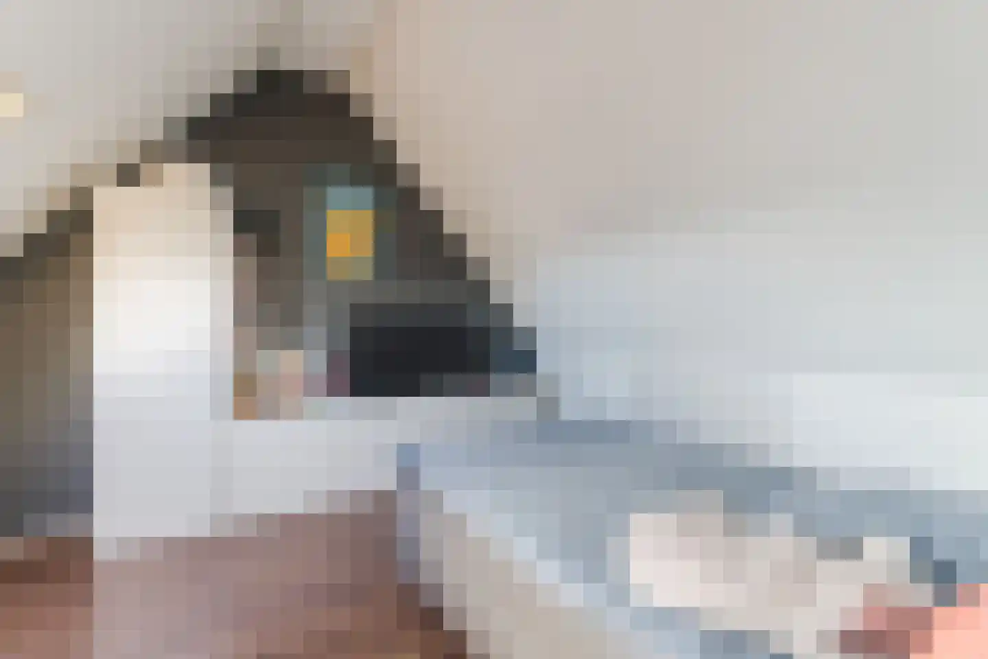 Dasseburcht 5 Zeewolde thumbnail 30