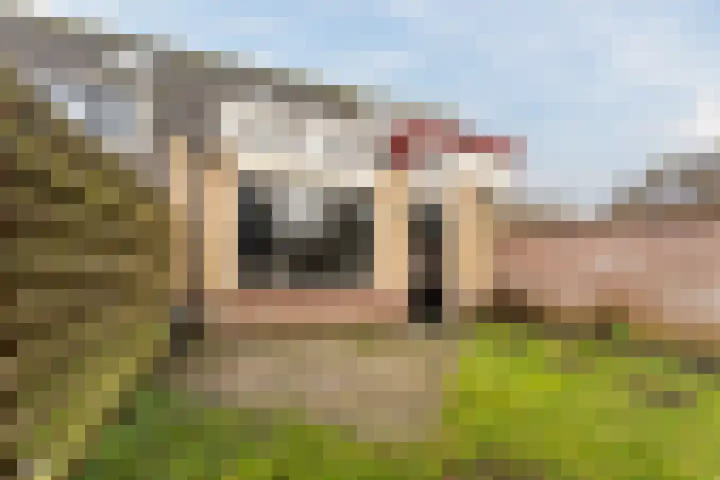 Dasseburcht 5 Zeewolde thumbnail 32