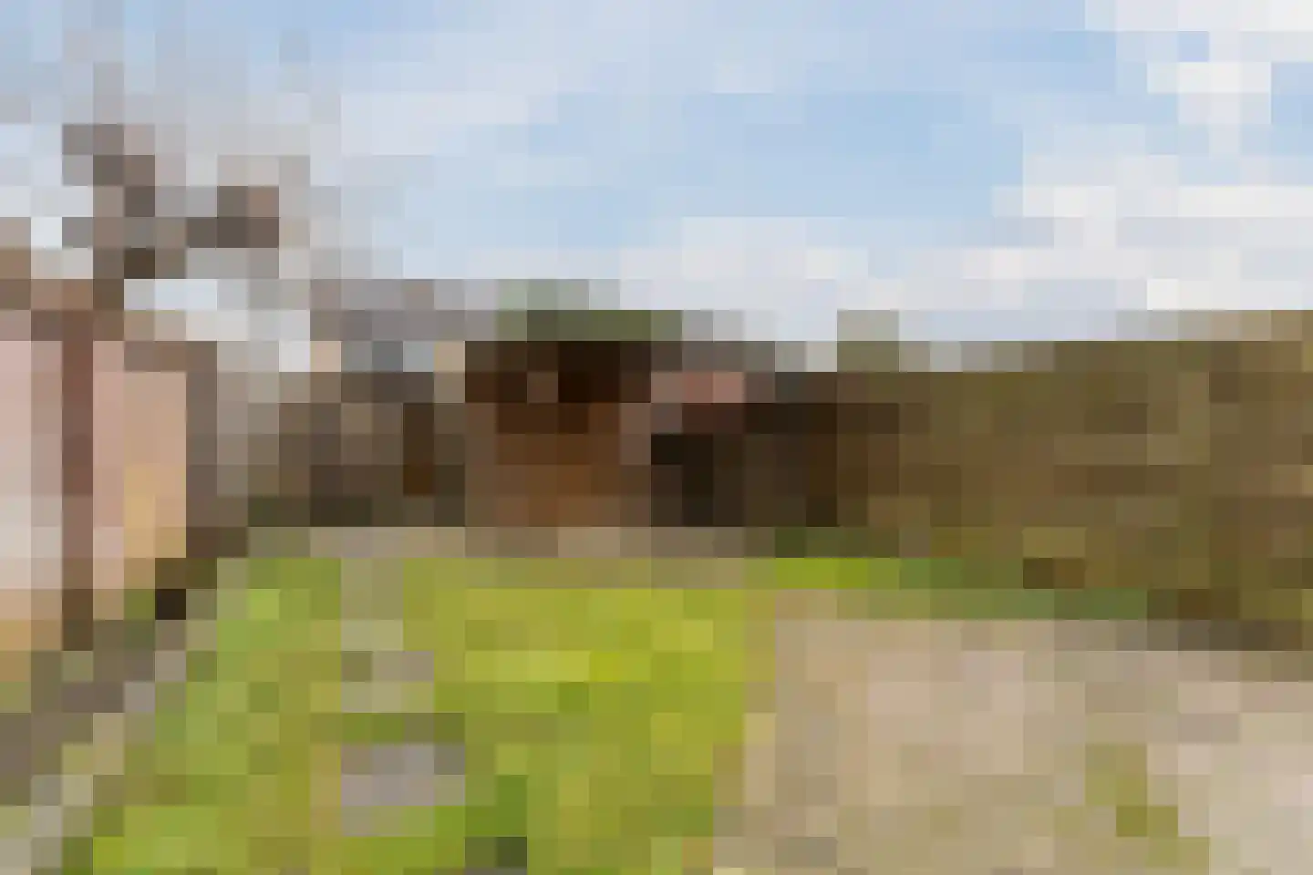Dasseburcht 5 Zeewolde thumbnail 33