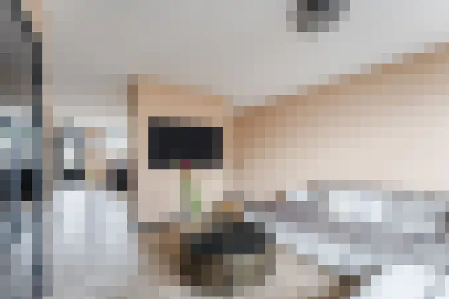Dasseburcht 5 Zeewolde thumbnail 4