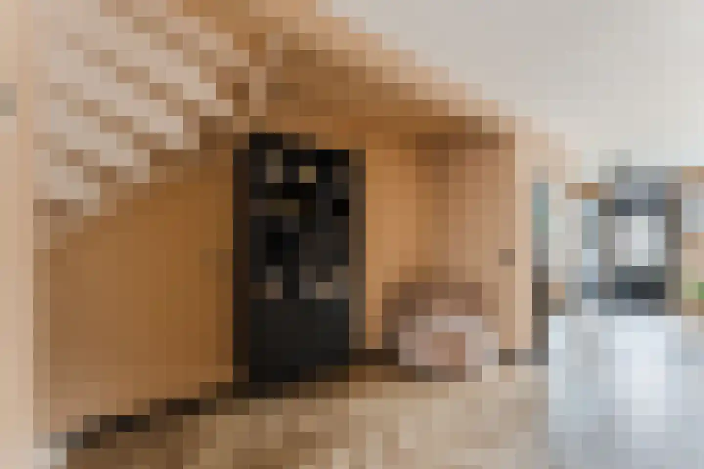 Dasseburcht 5 Zeewolde thumbnail 5