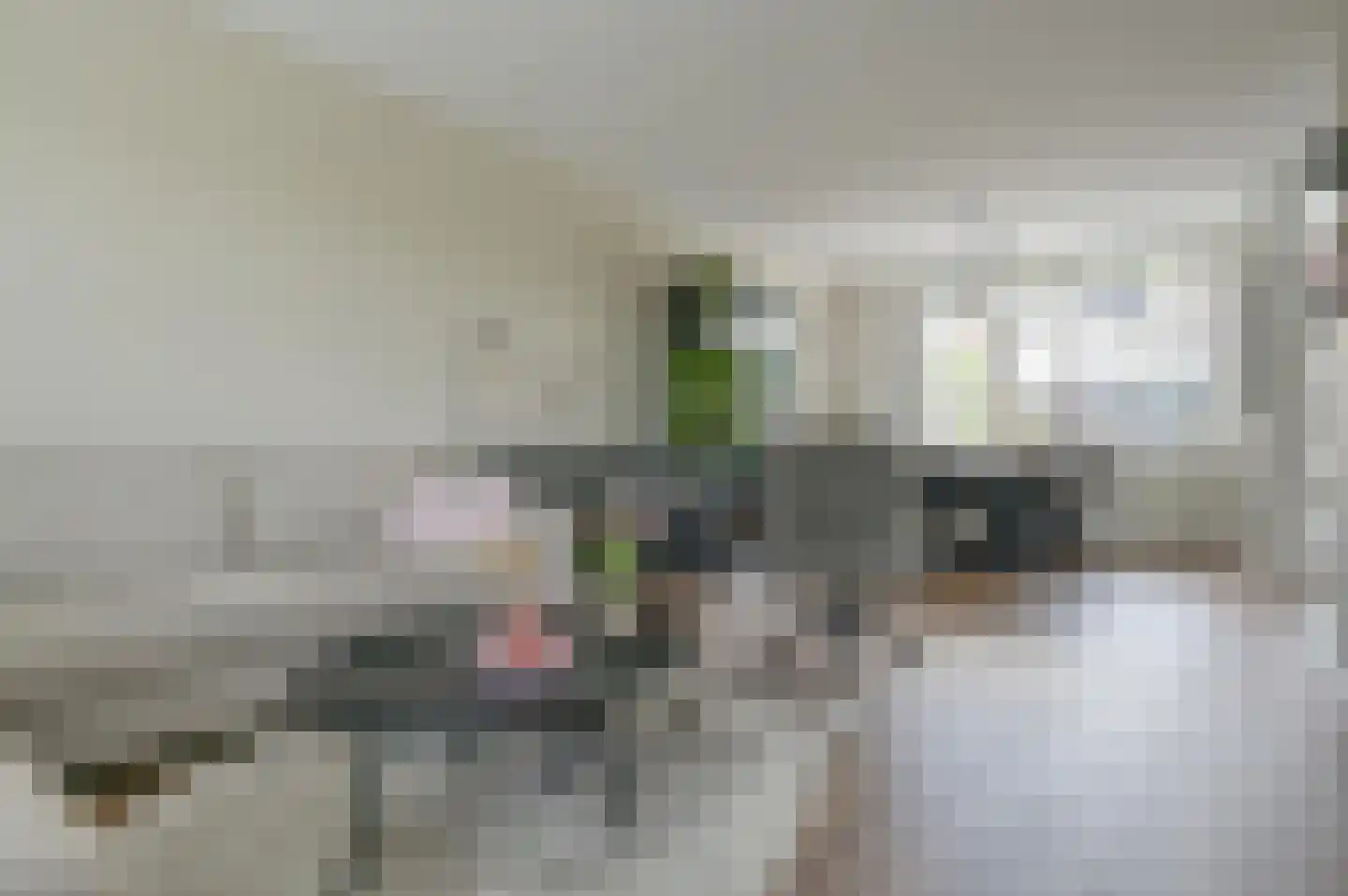 Dasseburcht 53 Zeewolde thumbnail 15