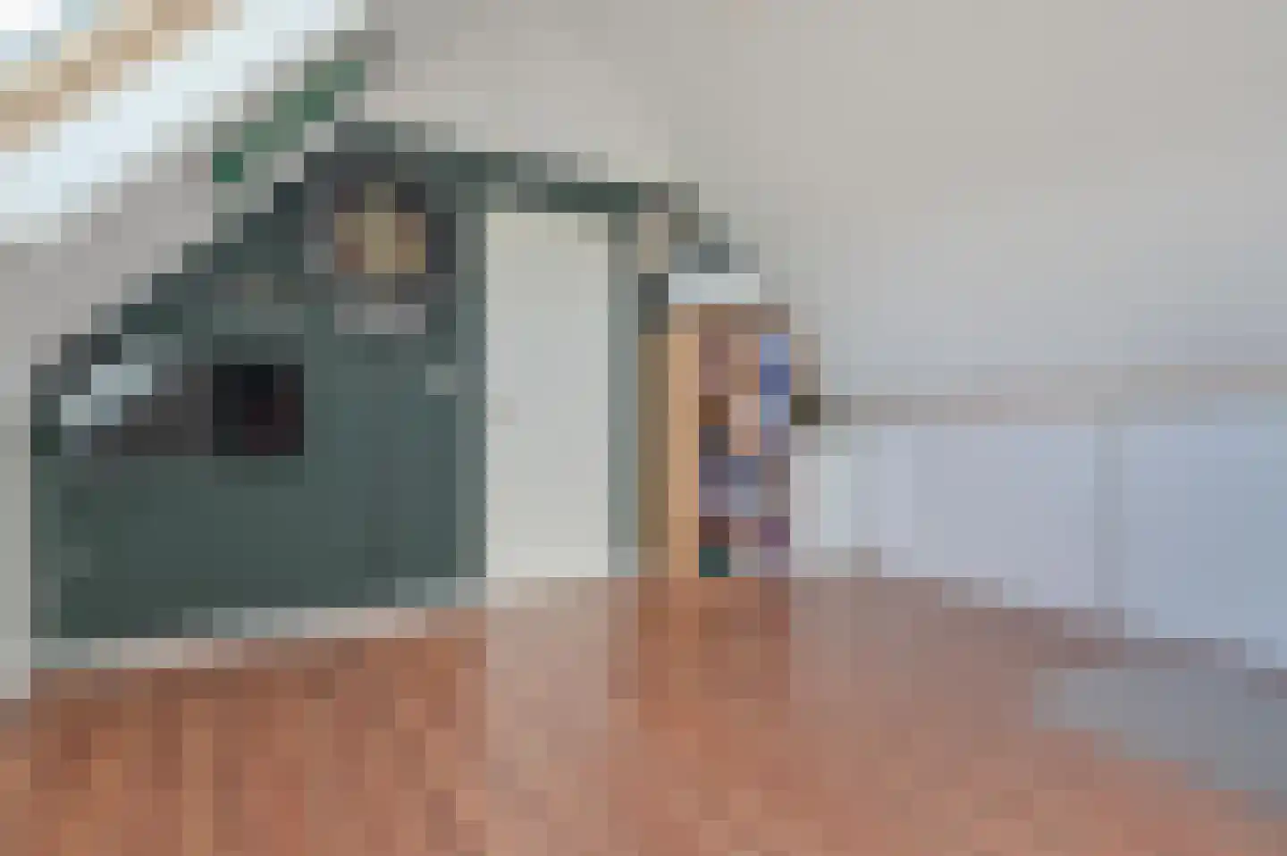 Dasseburcht 53 Zeewolde thumbnail 30