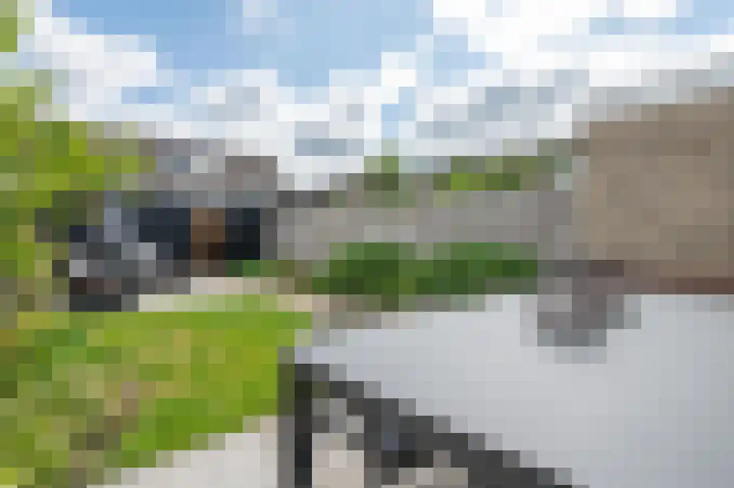 Dasseburcht 53 Zeewolde thumbnail 34