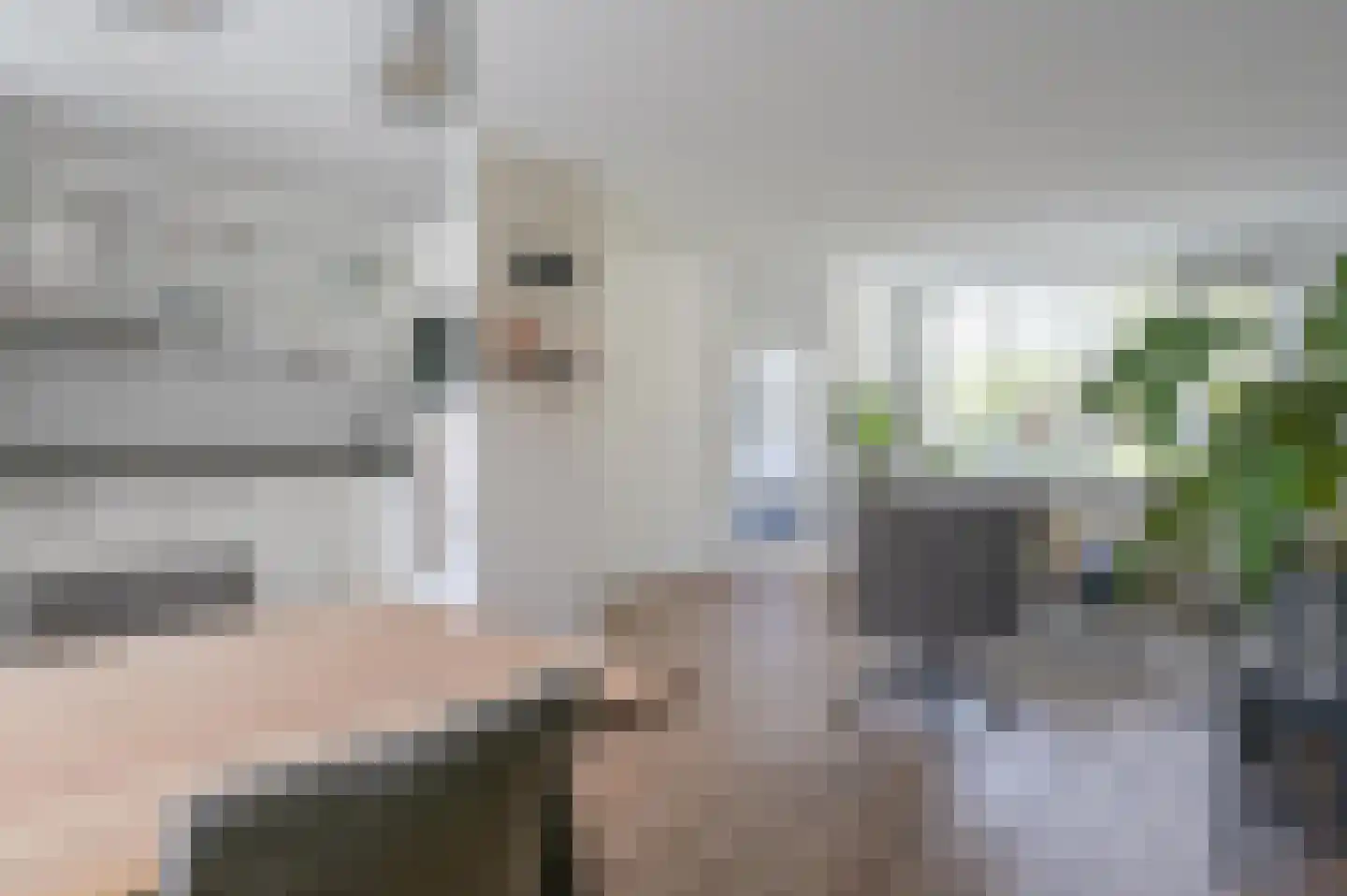Dasseburcht 53 Zeewolde thumbnail 8