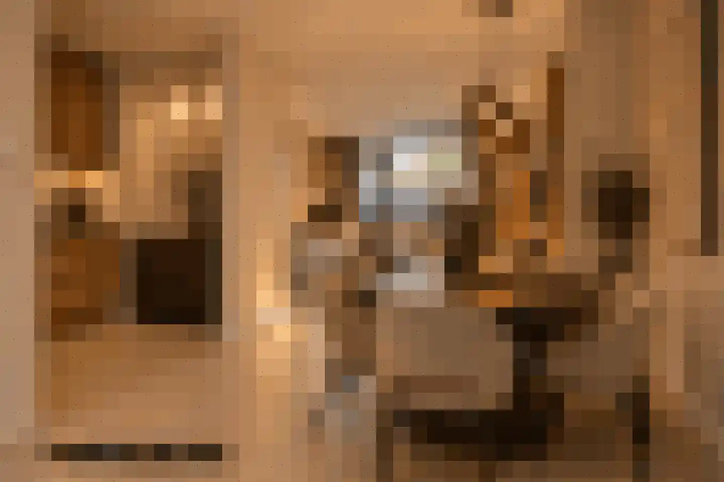 Dasseburcht 58 Oss thumbnail 12