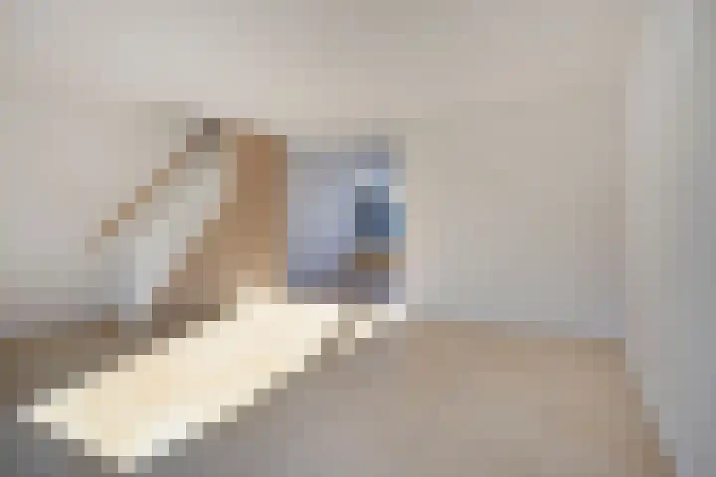 Dasseburcht 58 Oss thumbnail 4