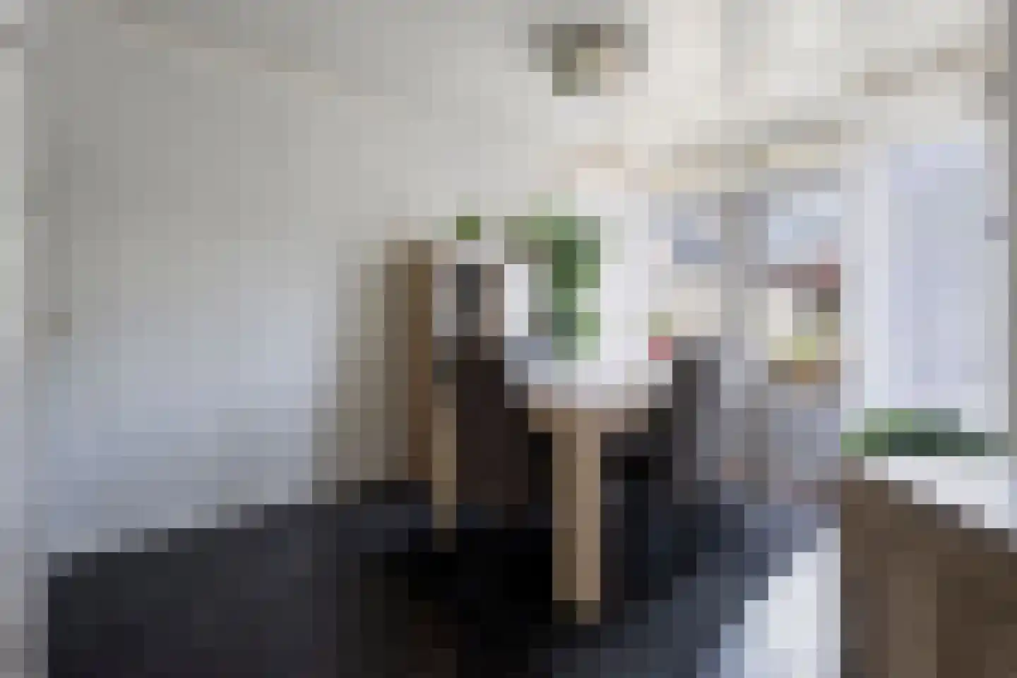 Dasseburcht 60 Oss thumbnail 11