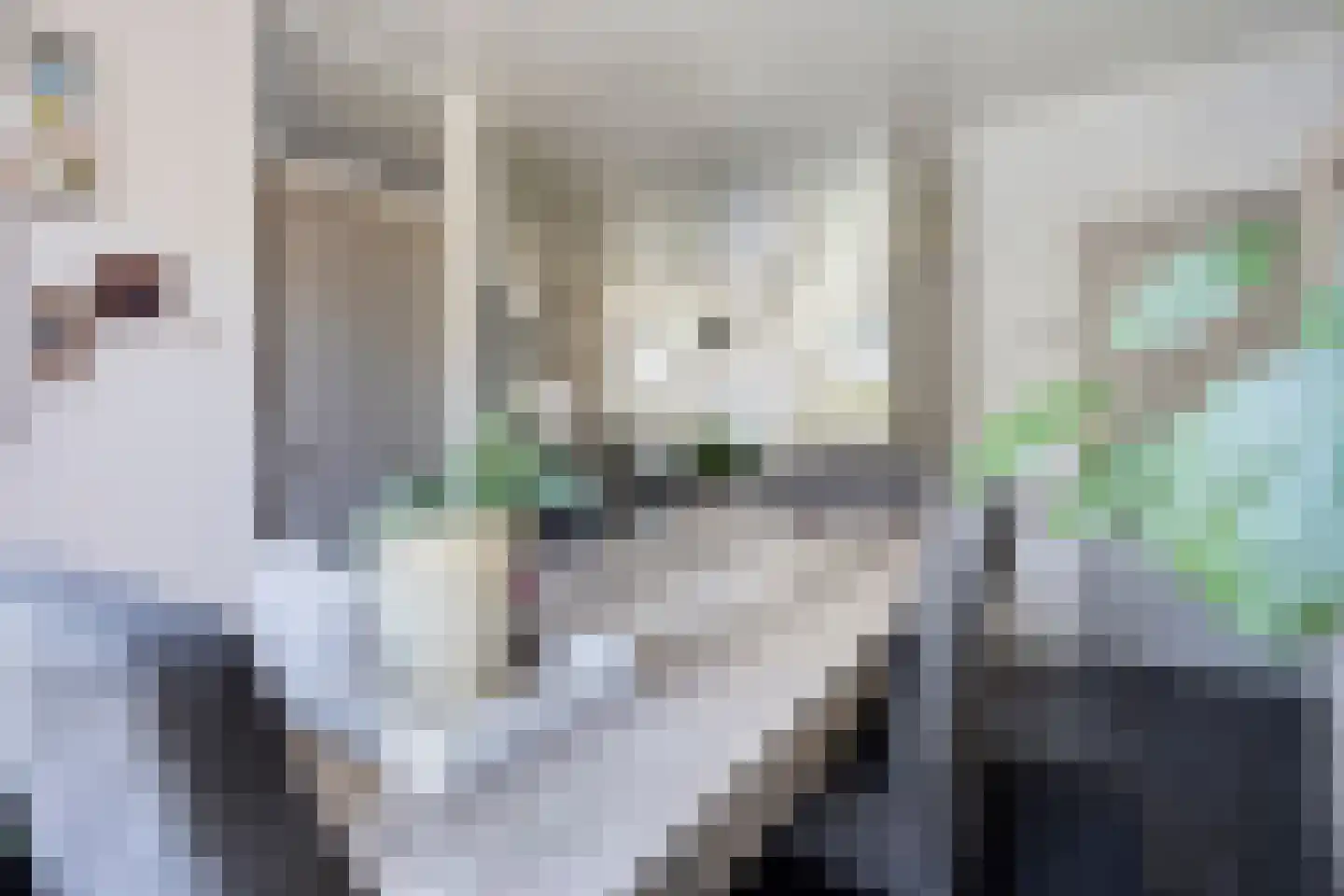 Dasseburcht 60 Oss thumbnail 13