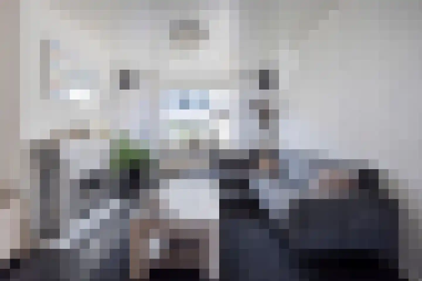 Dasseburcht 60 Oss thumbnail 14