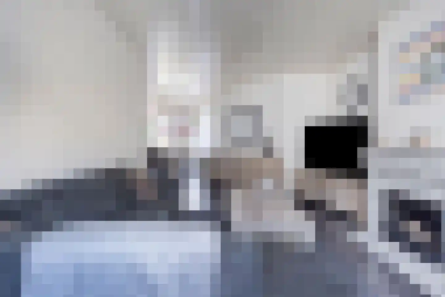 Dasseburcht 60 Oss thumbnail 15