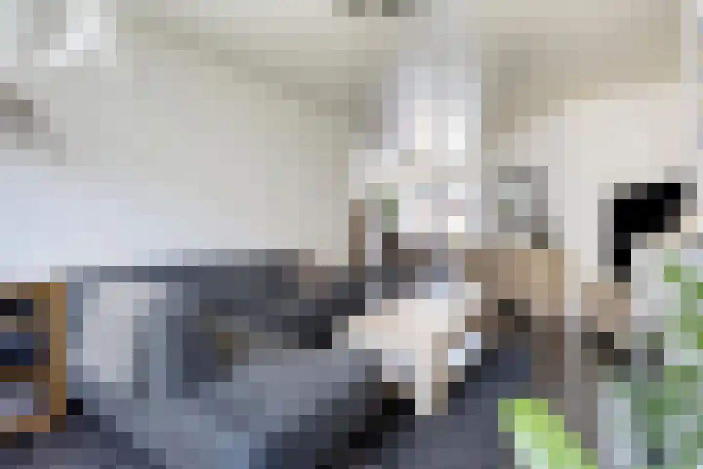 Dasseburcht 60 Oss thumbnail 16