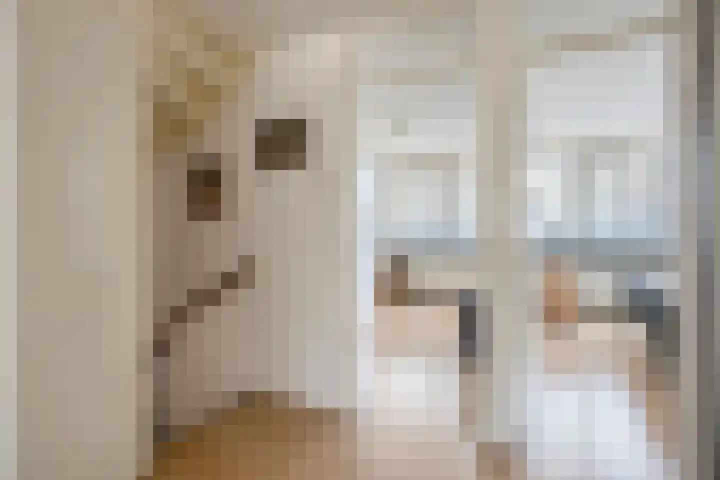 Dasseburcht 60 Oss thumbnail 26