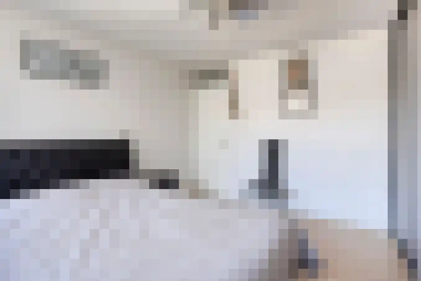 Dasseburcht 60 Oss thumbnail 32
