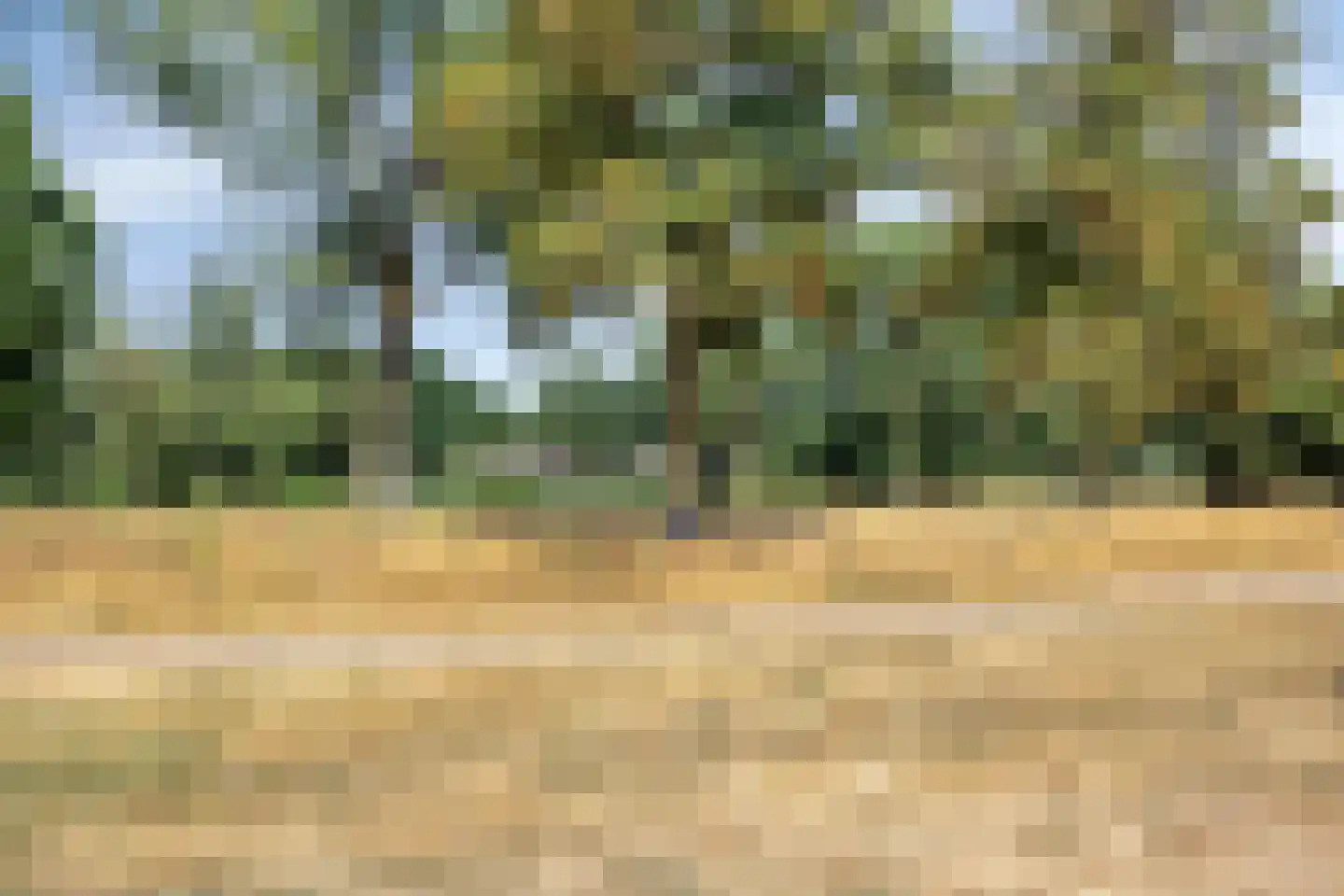 Dasseburcht 60 Oss thumbnail 37