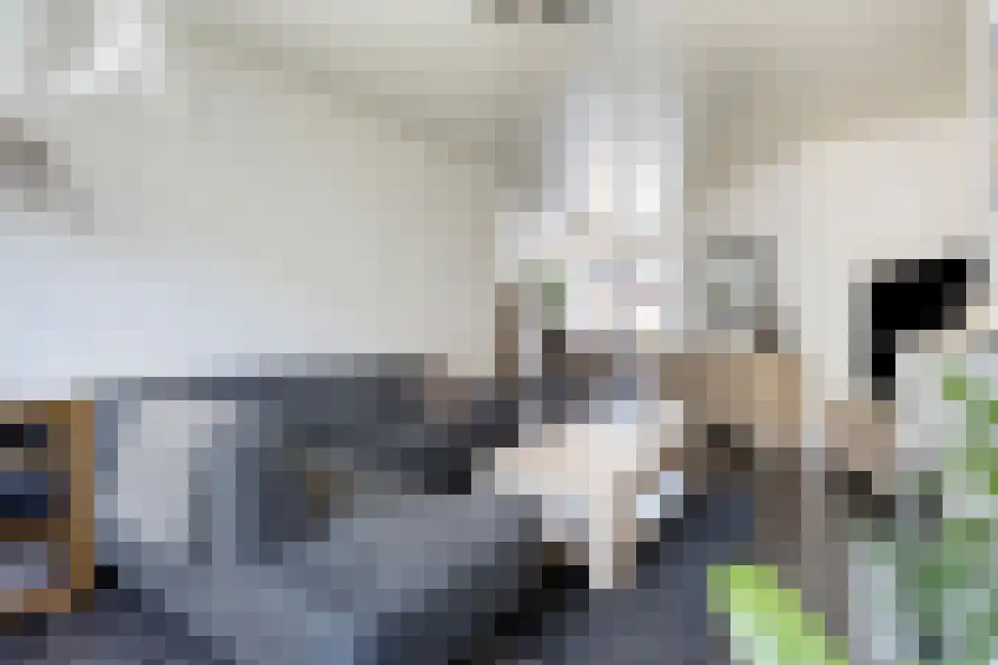 Dasseburcht 60 Oss thumbnail 4