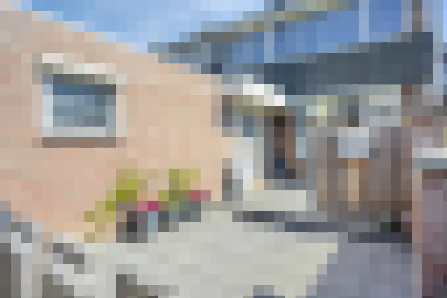 Dasseburcht 60 Oss thumbnail 6