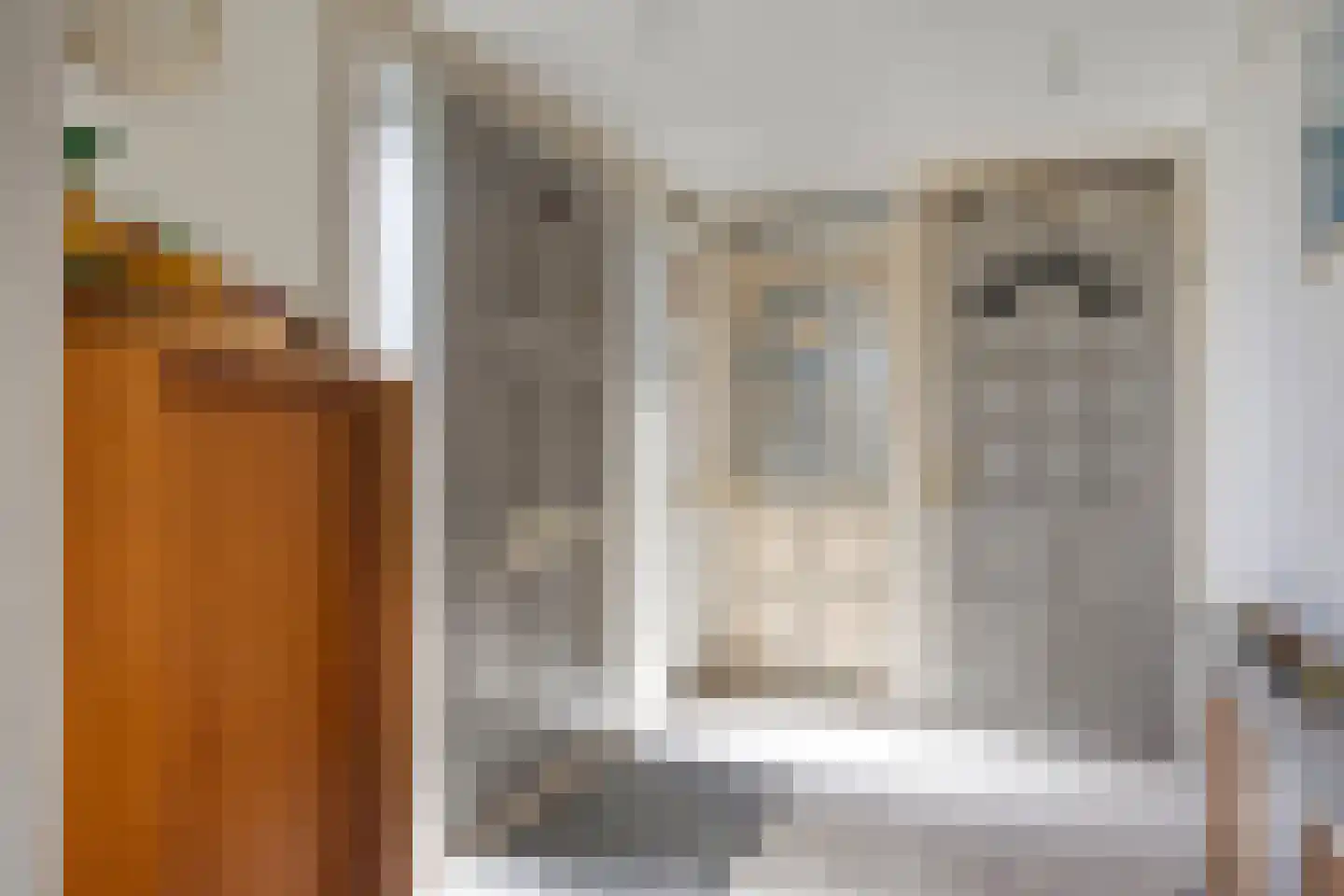 Dasseburcht 60 Oss thumbnail 7