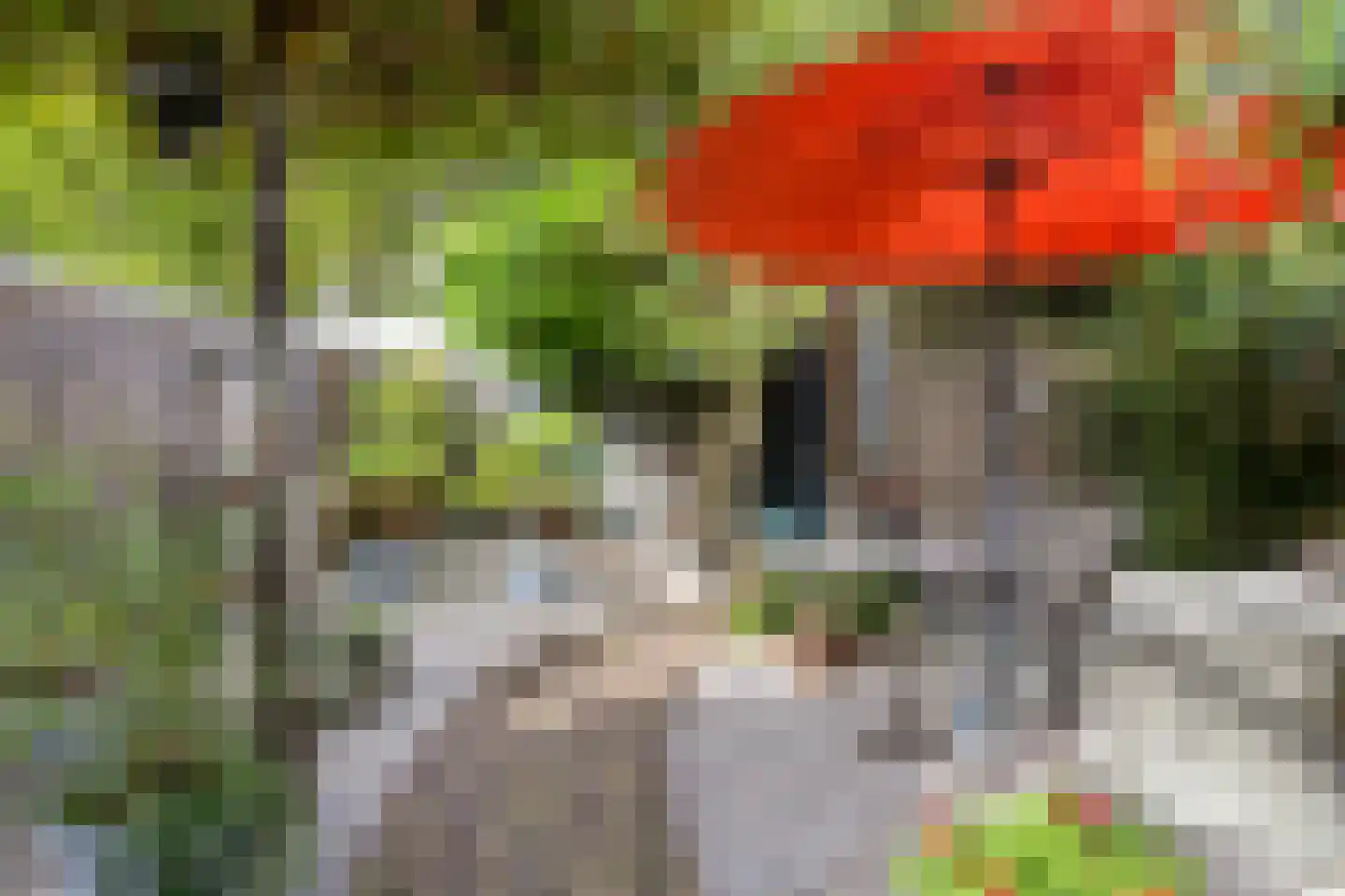 Dasseburcht 66 Etten-Leur thumbnail 33