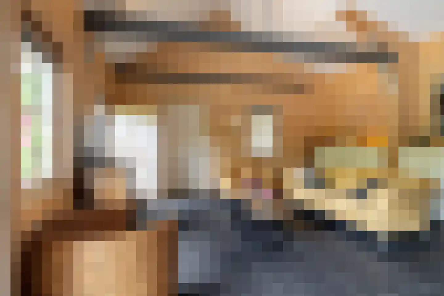 Dassemussestraat 3 a Chaam thumbnail 12