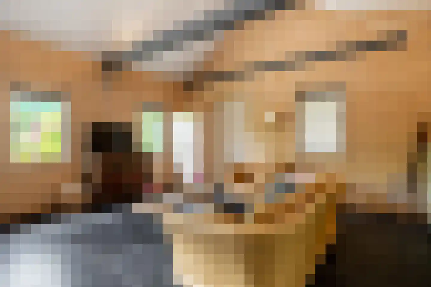 Dassemussestraat 3 a Chaam thumbnail 13