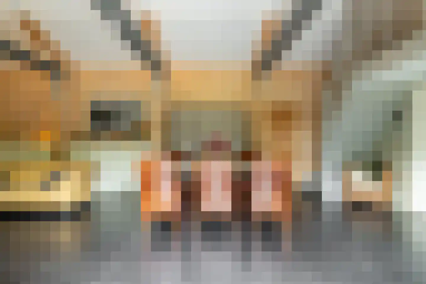 Dassemussestraat 3 a Chaam thumbnail 14