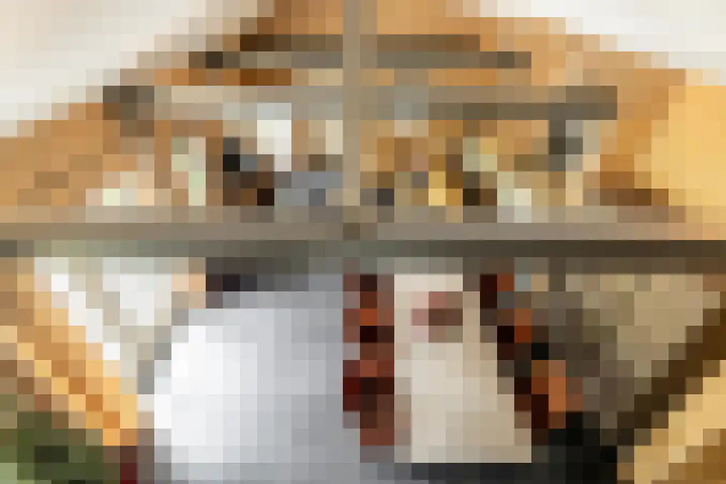 Dassemussestraat 3 a Chaam thumbnail 21
