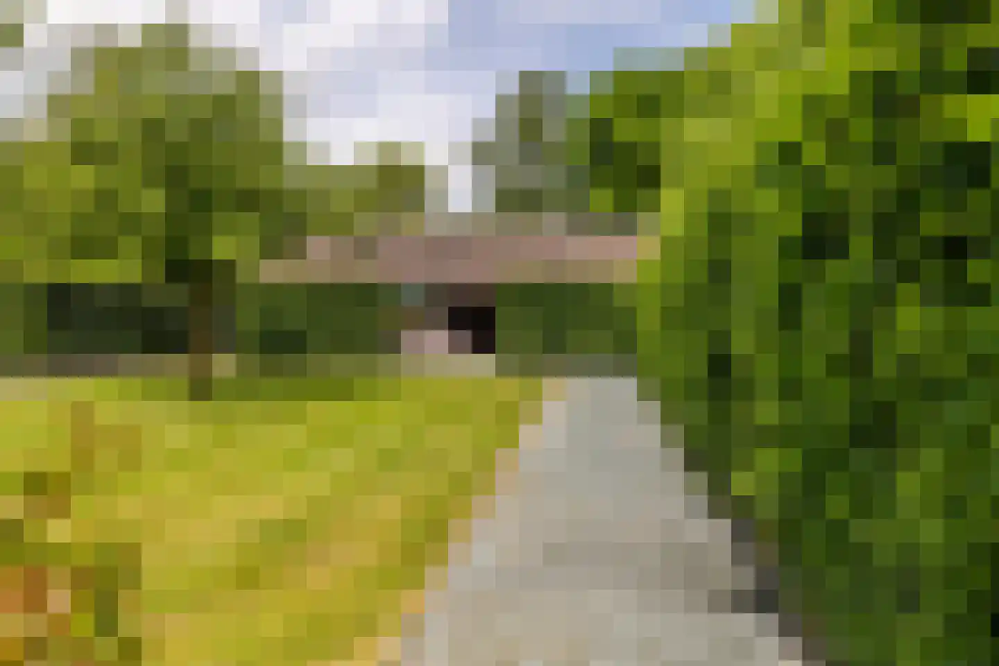 Dassemussestraat 3 a Chaam thumbnail 28